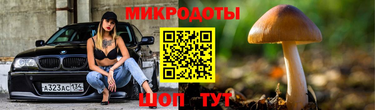 Галлюциногенные грибы мицелий Воронеж