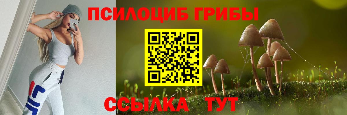 Псилоцибиновые грибы Psilocybe  Вход с VPN  Галлюциногенные грибы Psilocybine cubensis  Воронеж 